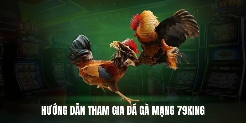 Hướng dẫn tham gia đá gà mạng 79king.